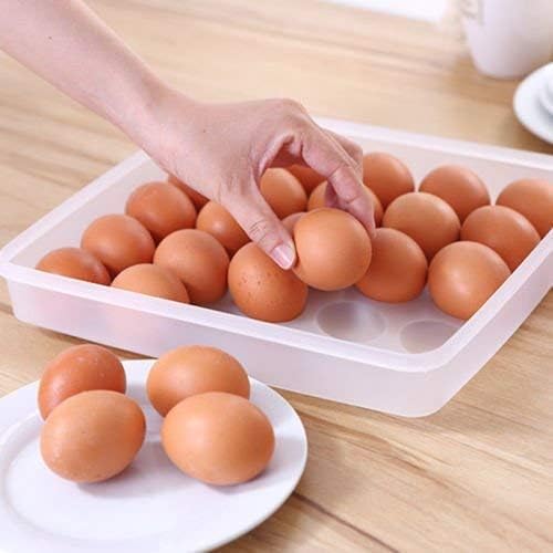 Grid Egg Storage Box
