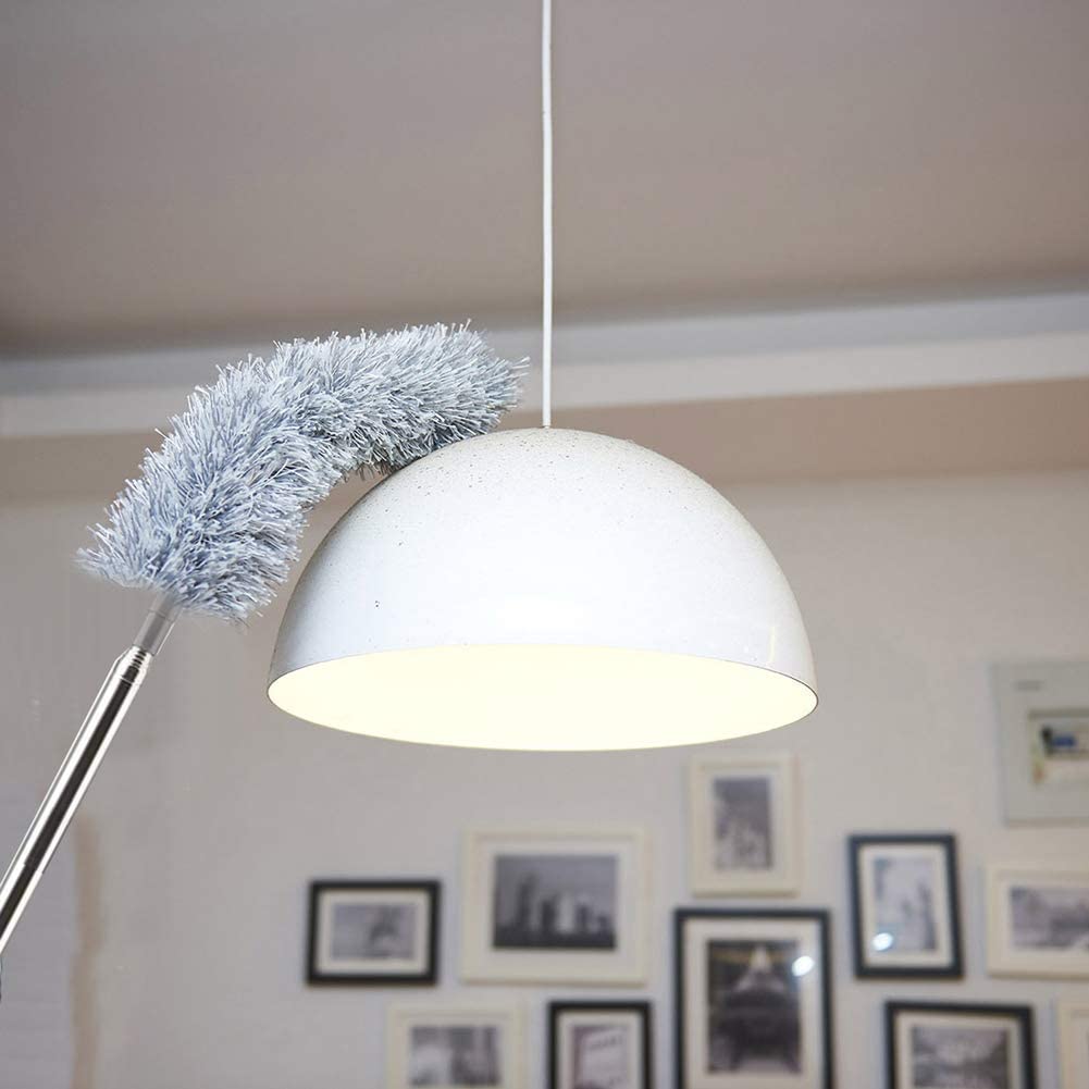 Feather Duster