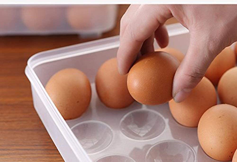 Grid Egg Storage Box