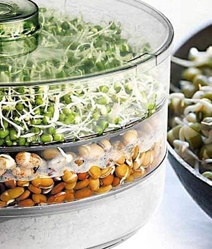 Sprout Maker with 4 Compartments