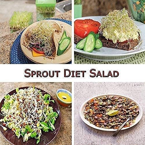 Sprout Maker with 4 Compartments