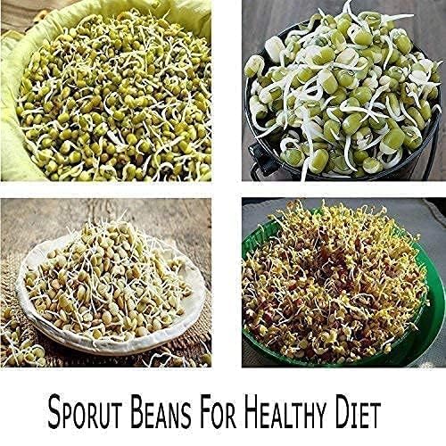 Sprout Maker with 4 Compartments