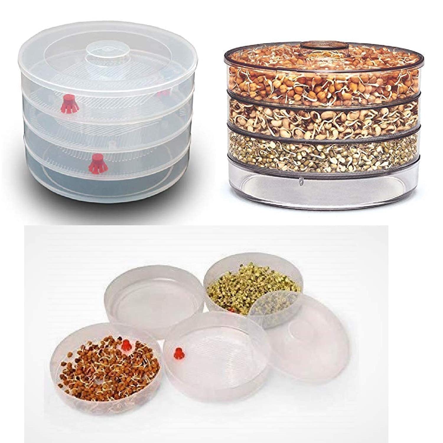 Sprout Maker with 4 Compartments