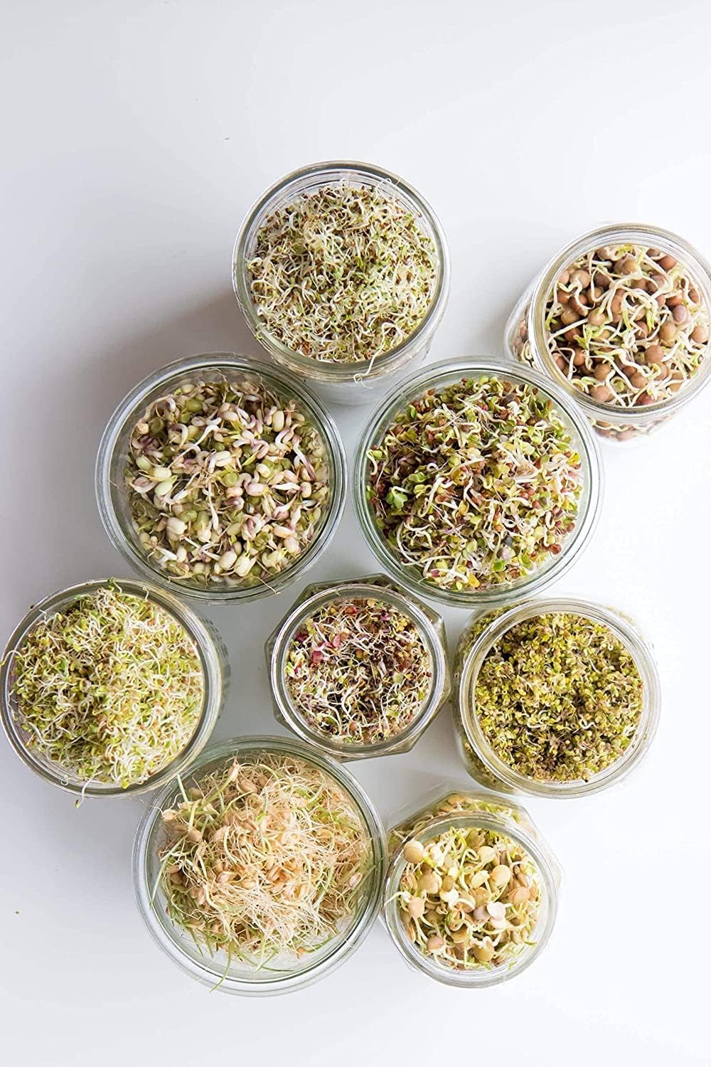 Sprout Maker with 4 Compartments