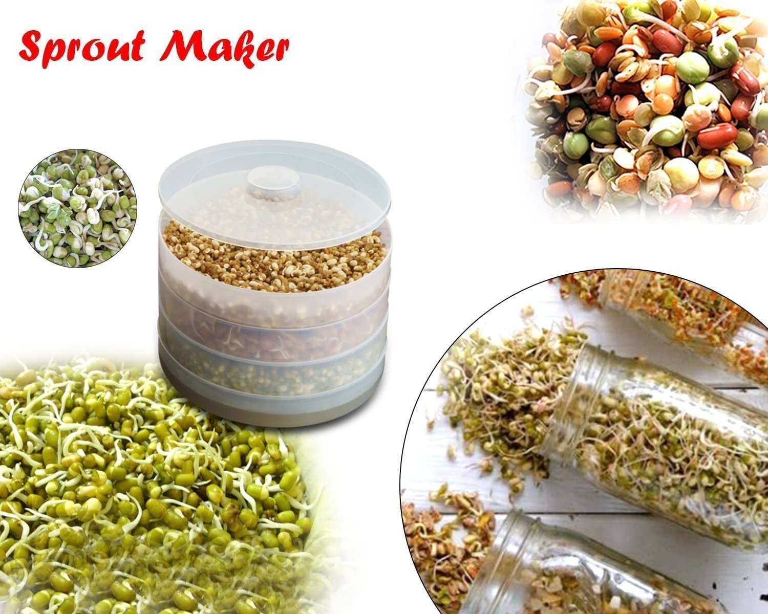 Sprout Maker with 4 Compartments
