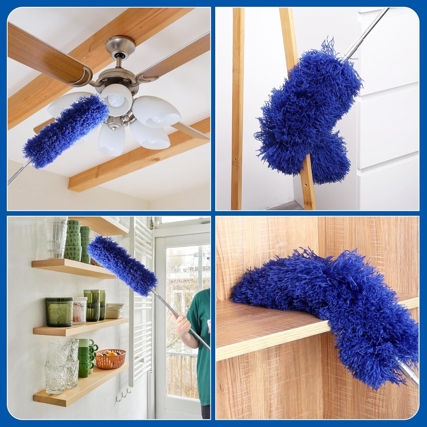 Feather Duster